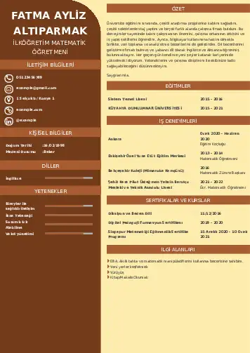 Matematik Öğretmeni Cv Örnekleri cv indir